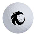 Wildcat Golf Balls, 12 Pack