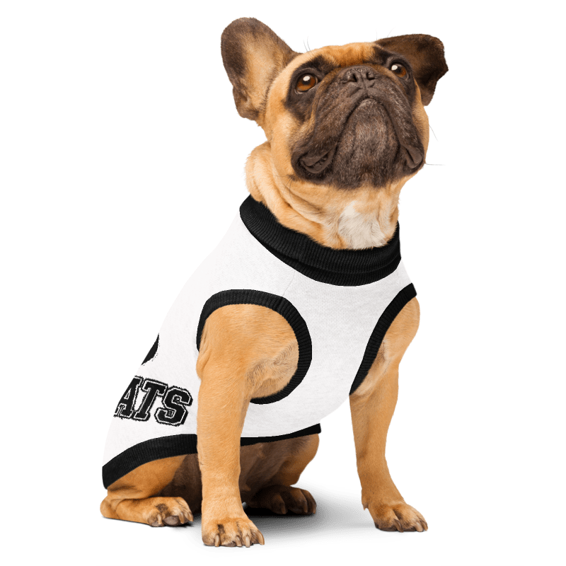 White & Black Knitted pet sweater