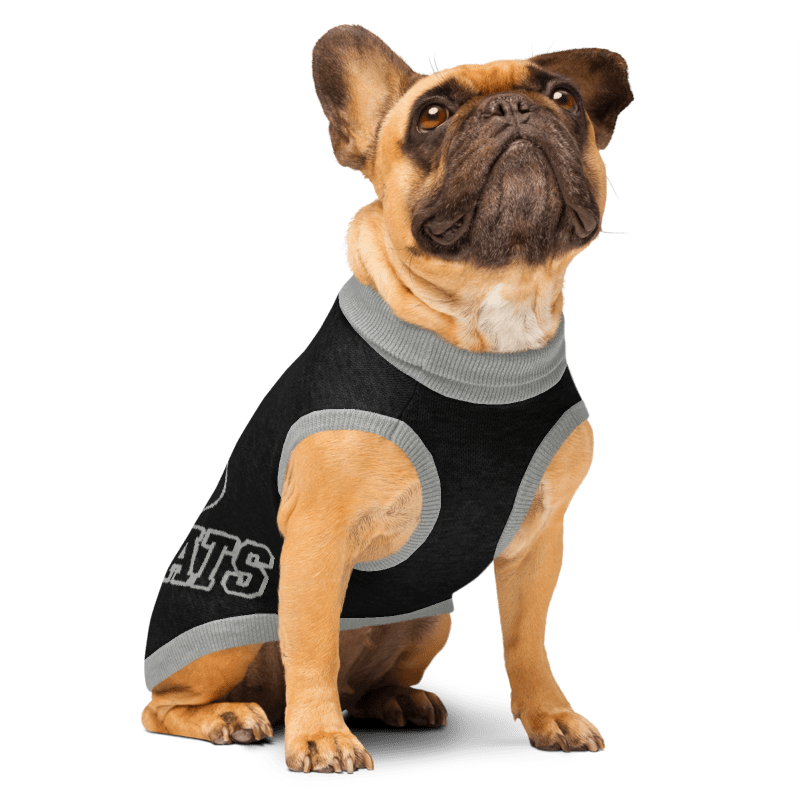 Black & Silver Knitted pet sweater