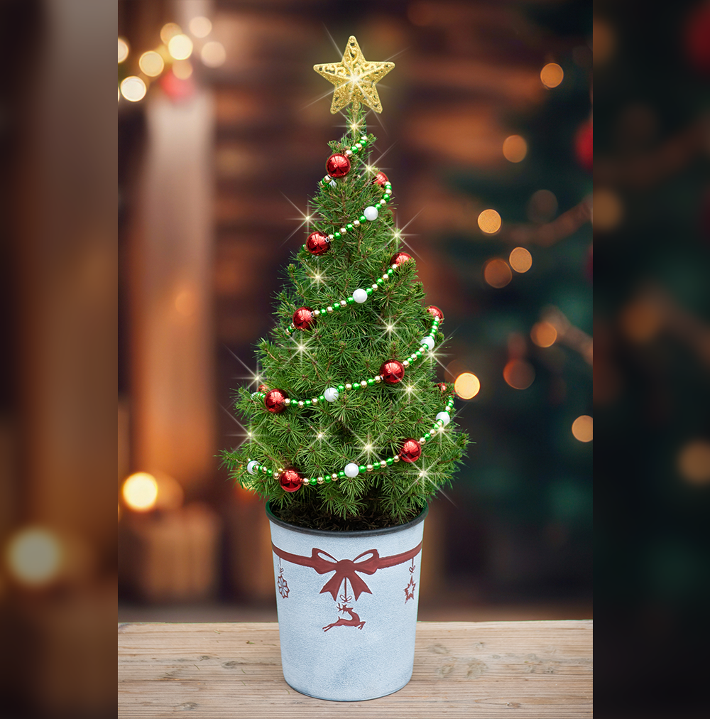 22" Starlight Tabletop Christmas Tree